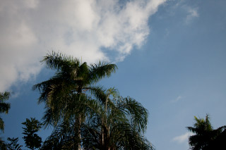 20110811-063.jpg