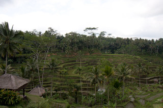 20110811-079.jpg