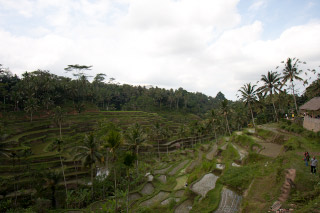 20110811-081.jpg
