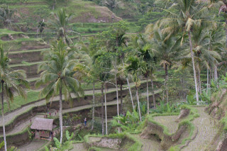 20110811-086.jpg