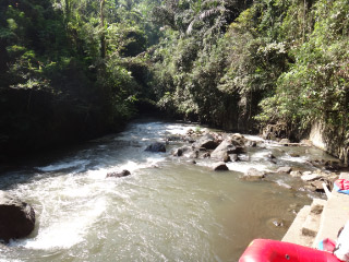 20110812-13.jpg