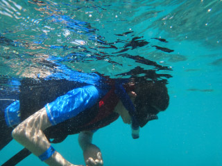 20110813-20.jpg