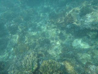 20110813-22.jpg