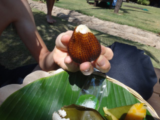 20110813-31.jpg
