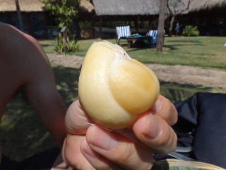 20110813-32.jpg
