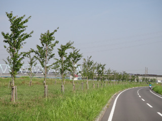DSC00367.jpg