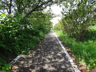 DSC00381.jpg