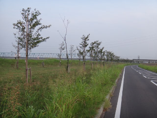 DSC00788.jpg