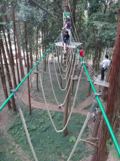 DSC01272.jpg