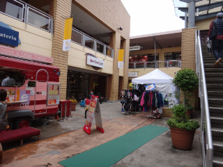 DSC01343.jpg