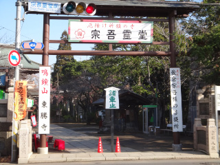 DSC01565.jpg