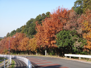 DSC01573.jpg