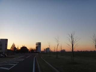 DSC01607.jpg