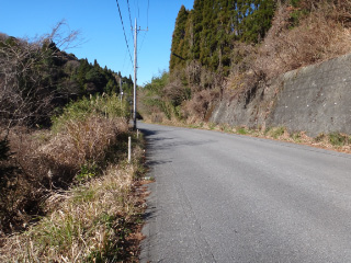 DSC01621.jpg
