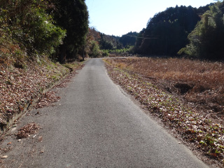 DSC01626.jpg