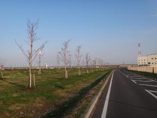 DSC01835.jpg