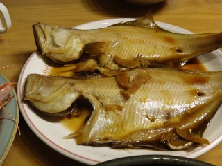 DSC01873.jpg