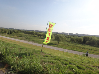 DSC02140.jpg
