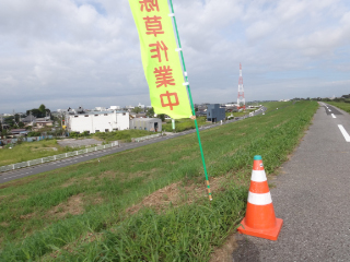 DSC02268.jpg