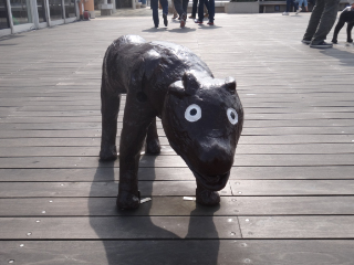DSC02614.jpg