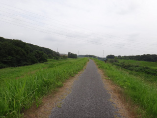 DSC02908.jpg