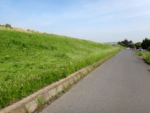 20110525_筑波山-1.JPG