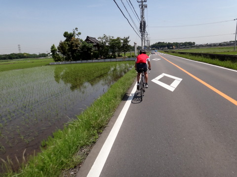 20110525_筑波山-3.JPG