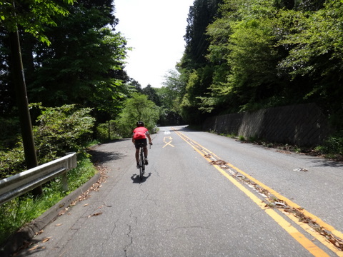 20110525_筑波山-6.JPG