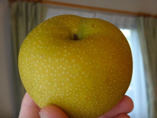 DSC00353.jpg
