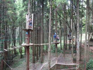 DSC00891.jpg
