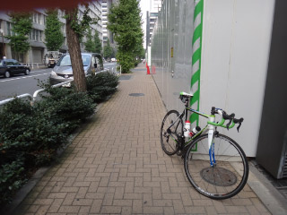 DSC00907.jpg
