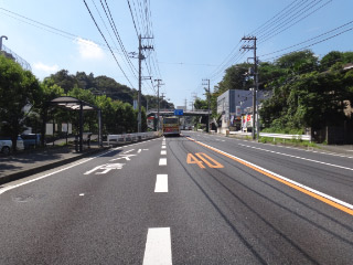 DSC00909.jpg