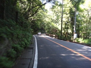 DSC00927.jpg
