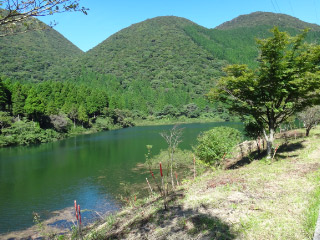 DSC00939.jpg