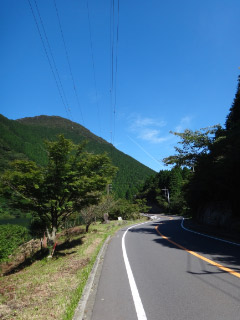 DSC00941.jpg