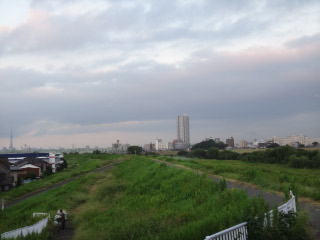 DSC01001.jpg