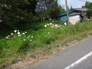 DSC01307.png
