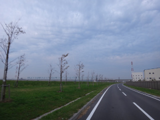 DSC01367.jpg