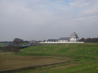 DSC01375.jpg