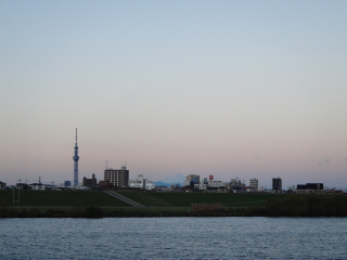 DSC01511.jpg