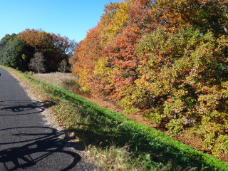 DSC01544.jpg
