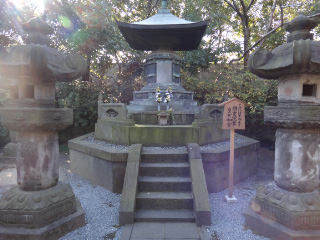 DSC01682.jpg