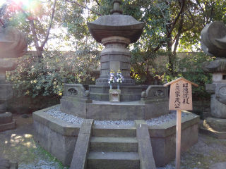 DSC01683.jpg
