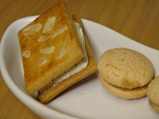 DSC01820.jpg
