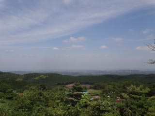 DSC01917.jpg