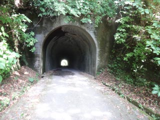 DSC01935.jpg
