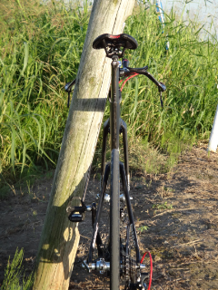 DSC01961.jpg