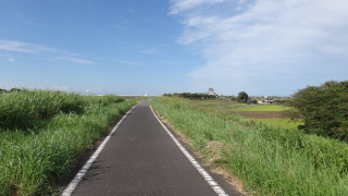 DSC02067.jpg