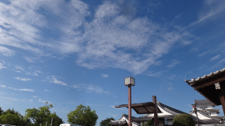 DSC02070.jpg
