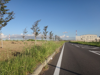 DSC02118.jpg